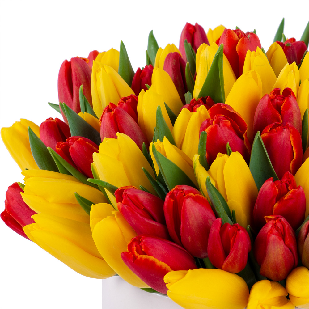 101 разноцветный тюльпан в шляпной кремовой коробке