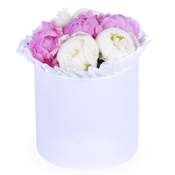 Букет из 7 разноцветных пионов в шляпной коробке