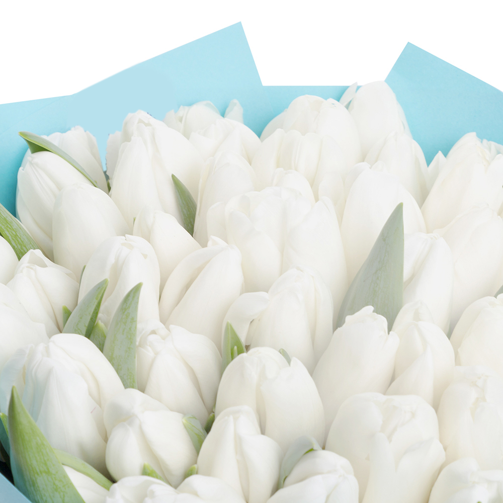 Букет из 51 белого тюльпана