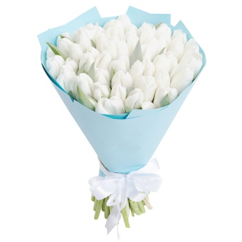 Букет из 51 белого тюльпана