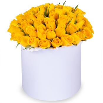 51 желтая роза в кремовой шляпной коробке