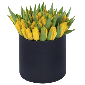 51 желтый тюльпан в черной шляпной коробке