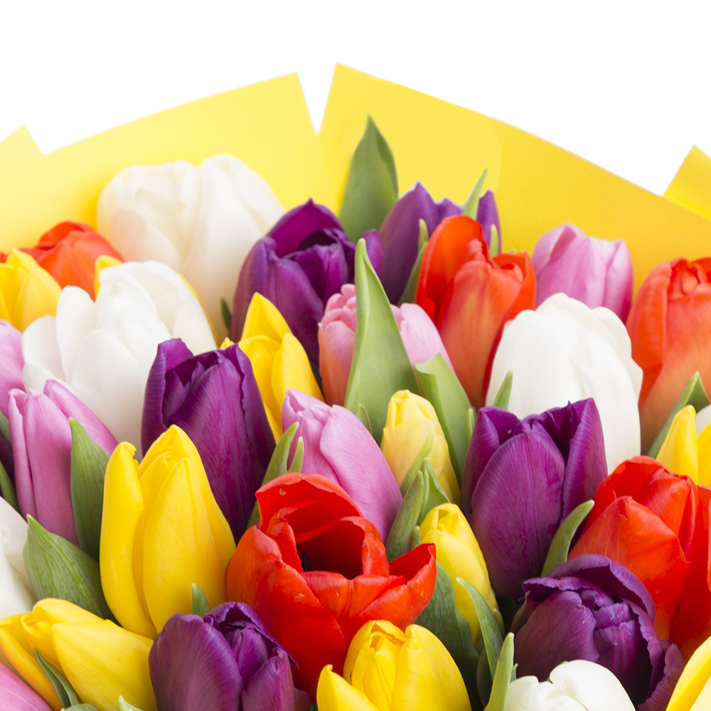 35 разноцветных тюльпанов