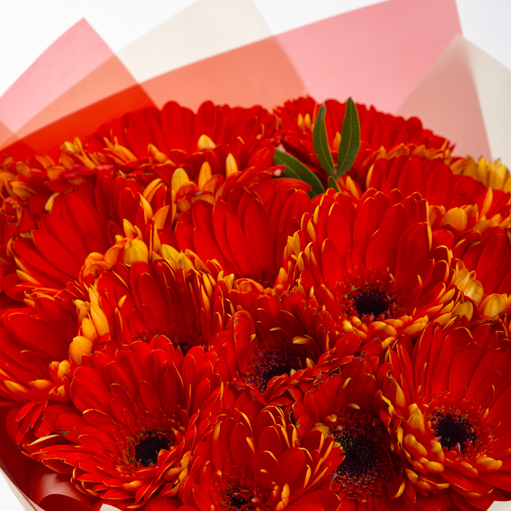 Букет из 21 оранжевой герберы