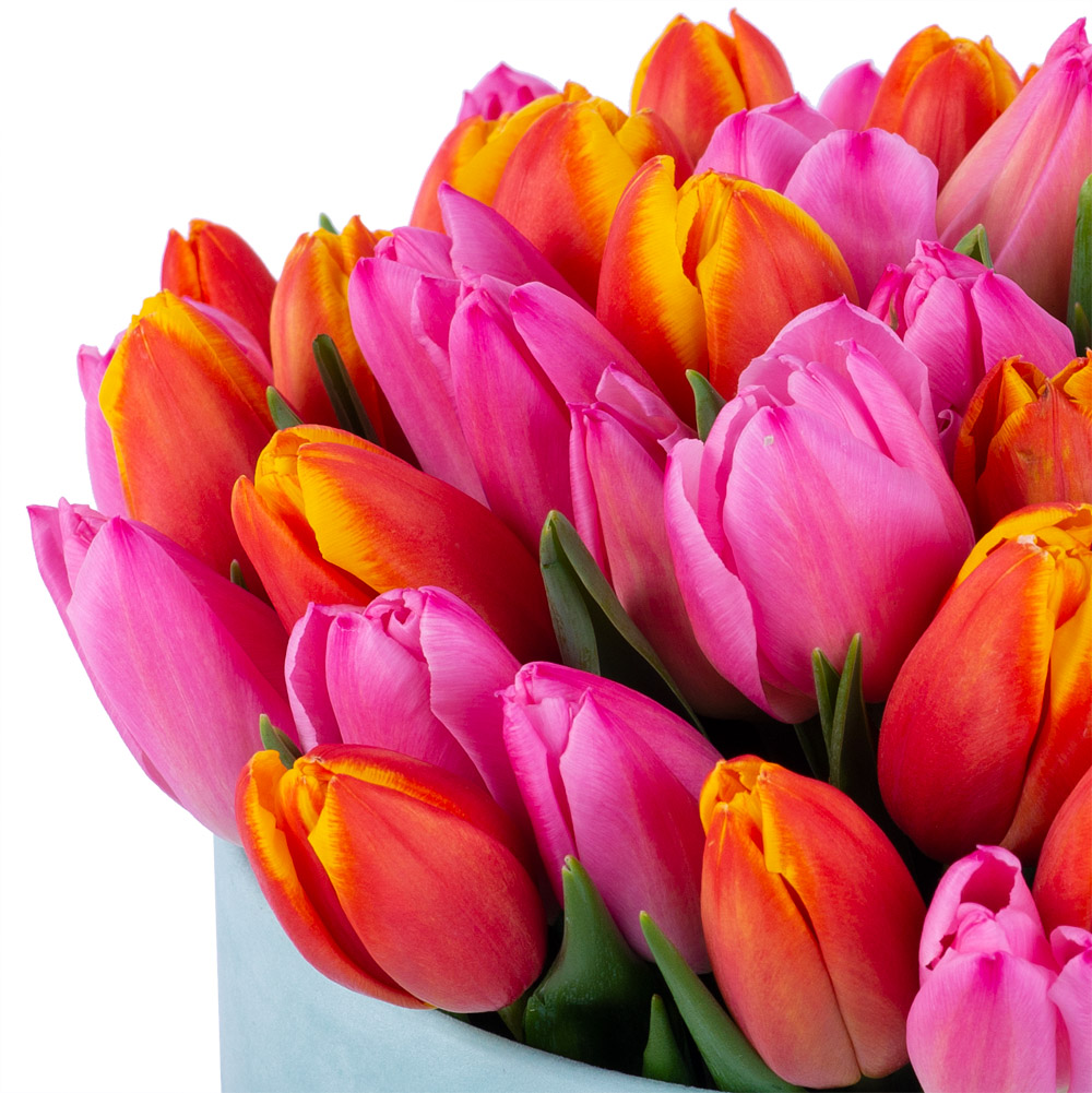 Букет микс из 51 тюльпана в зеленой бархатной шляпной коробке