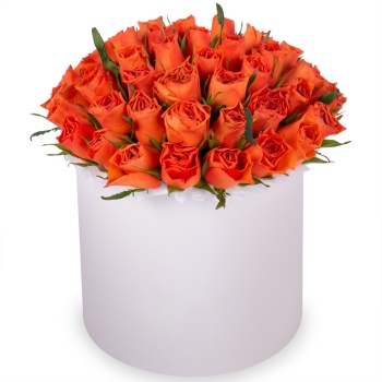 51 оранжевая роза в кремовой шляпной коробке