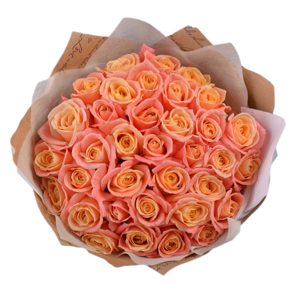 35 нежных роз сорта Мисс Пигги Роза Premium 40 см