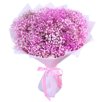 Букет из 35 розовых гипсофил