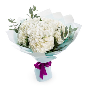 Букет из 5 гортензий и эвкалипта