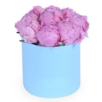 Букет из 9 розовых пионов в шляпной коробке