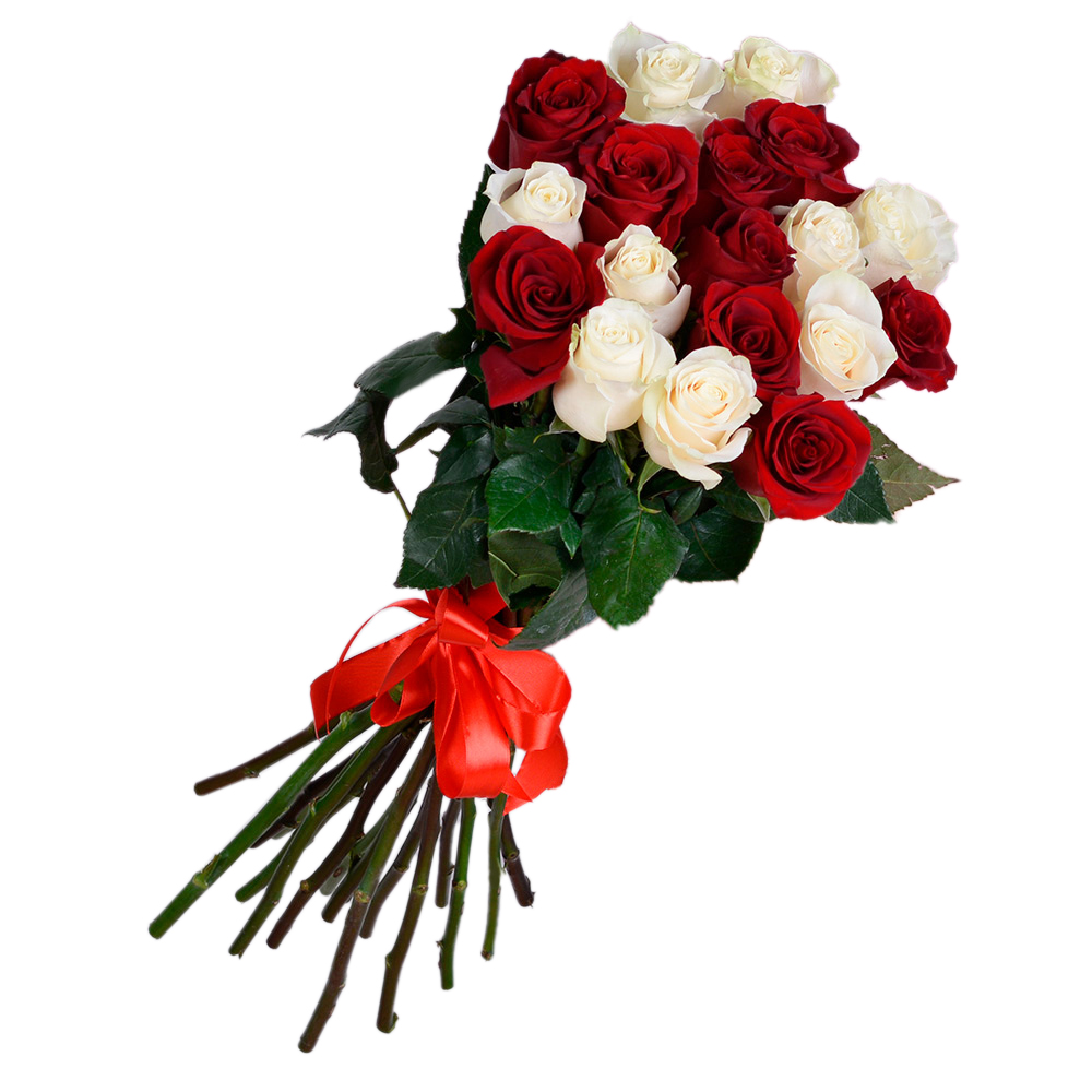 19 разноцветных роз Эквадор 70 см