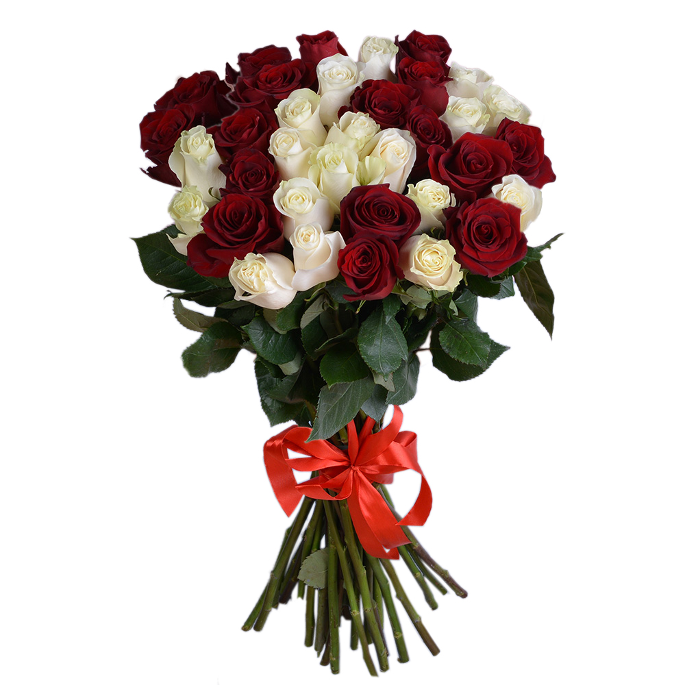 35 разноцветных роз Эквадор 70 см