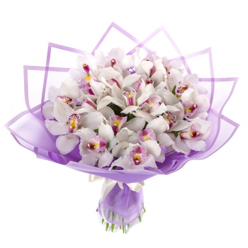 Букет из 25 белых орхидей