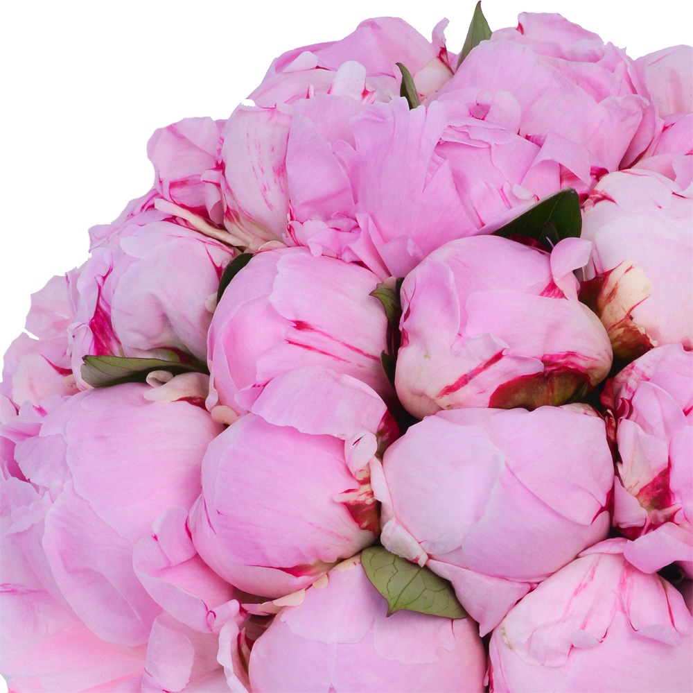 Букет из 35 розовых пионов в зеленой бархатной шляпной коробке