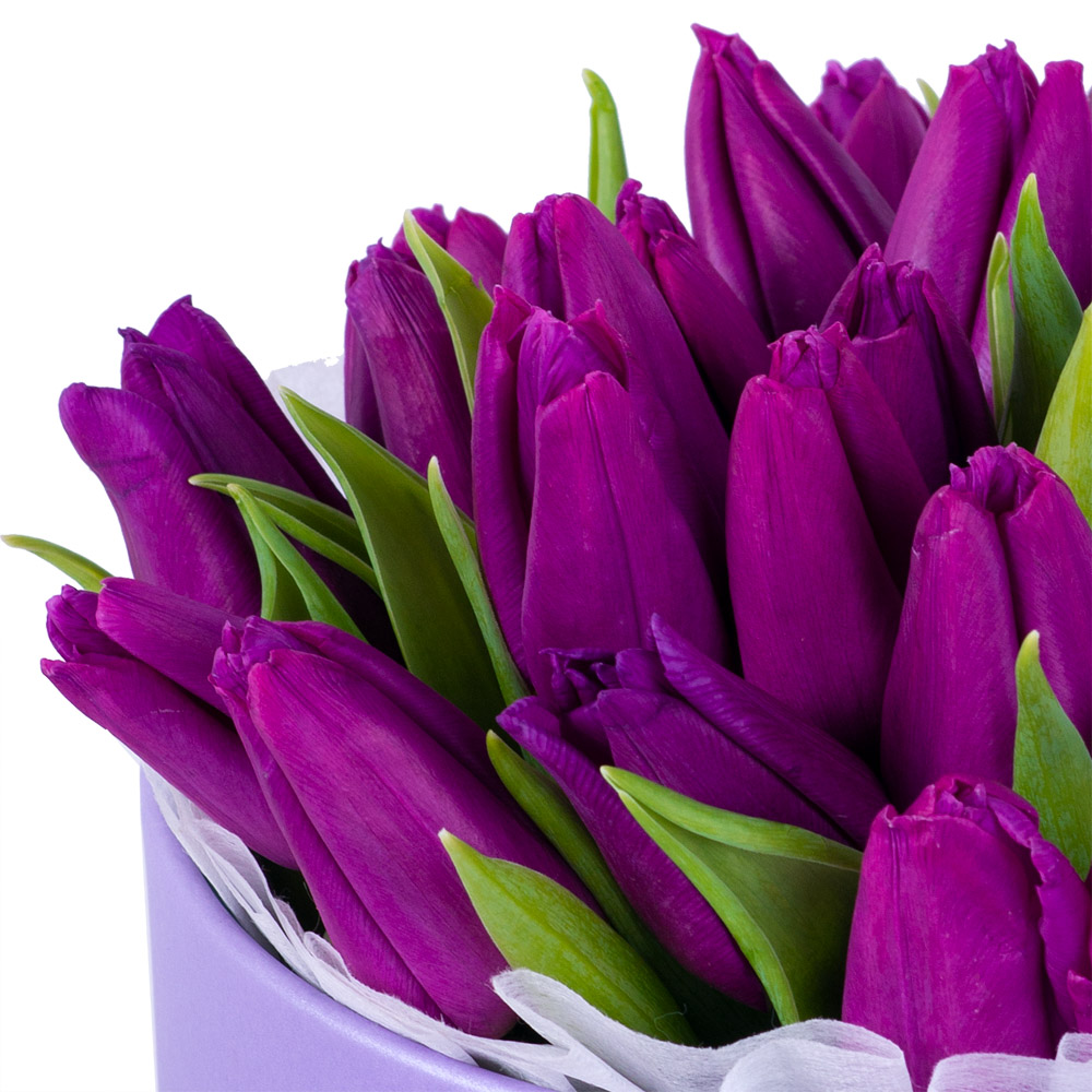 25 фиолетовых тюльпан в фиолетовой шляпной коробке