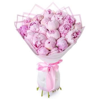 Букет из 21 розового пиона