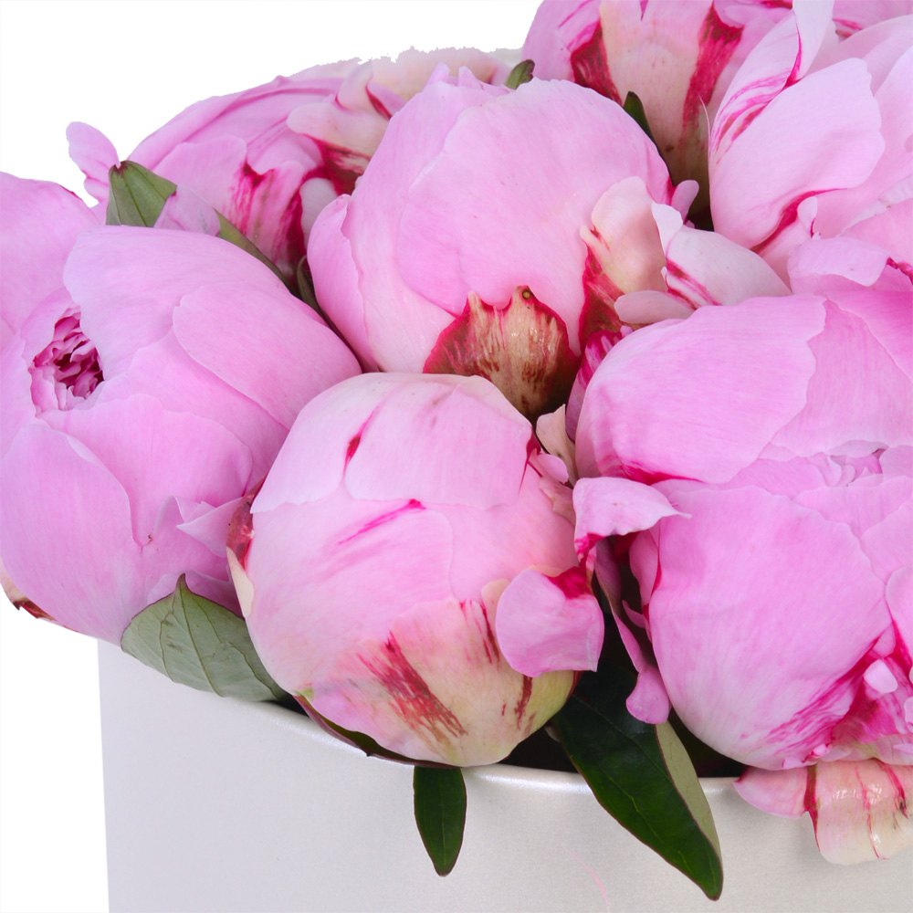 Букет из 11 розовых пионов в кремовой шляпной коробке