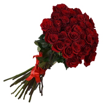 35 красных роз Эквадор 70 см