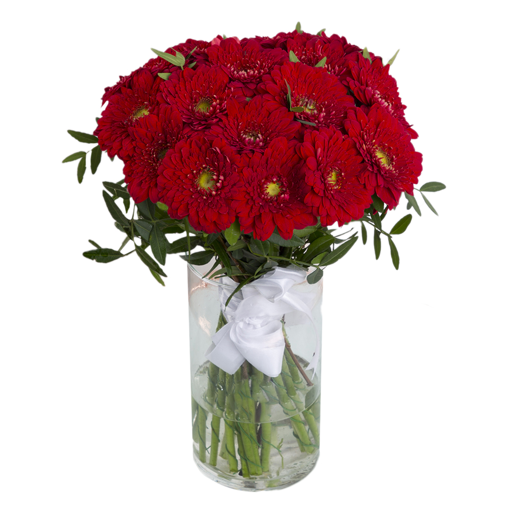 21 красная гербера