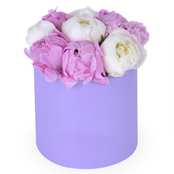 Букет из 9 разноцветных пионов в фиолетовой шляпной коробке