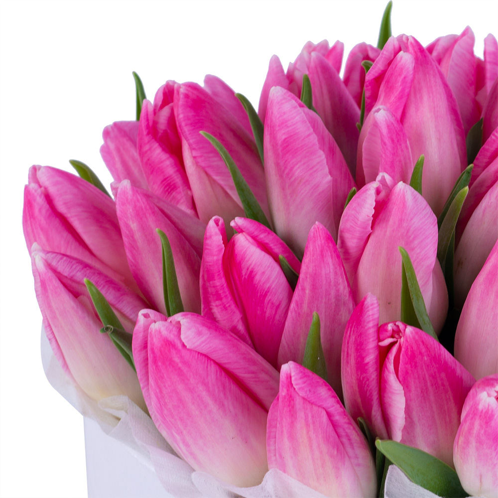 35 розовых тюльпан в белой шляпной коробке