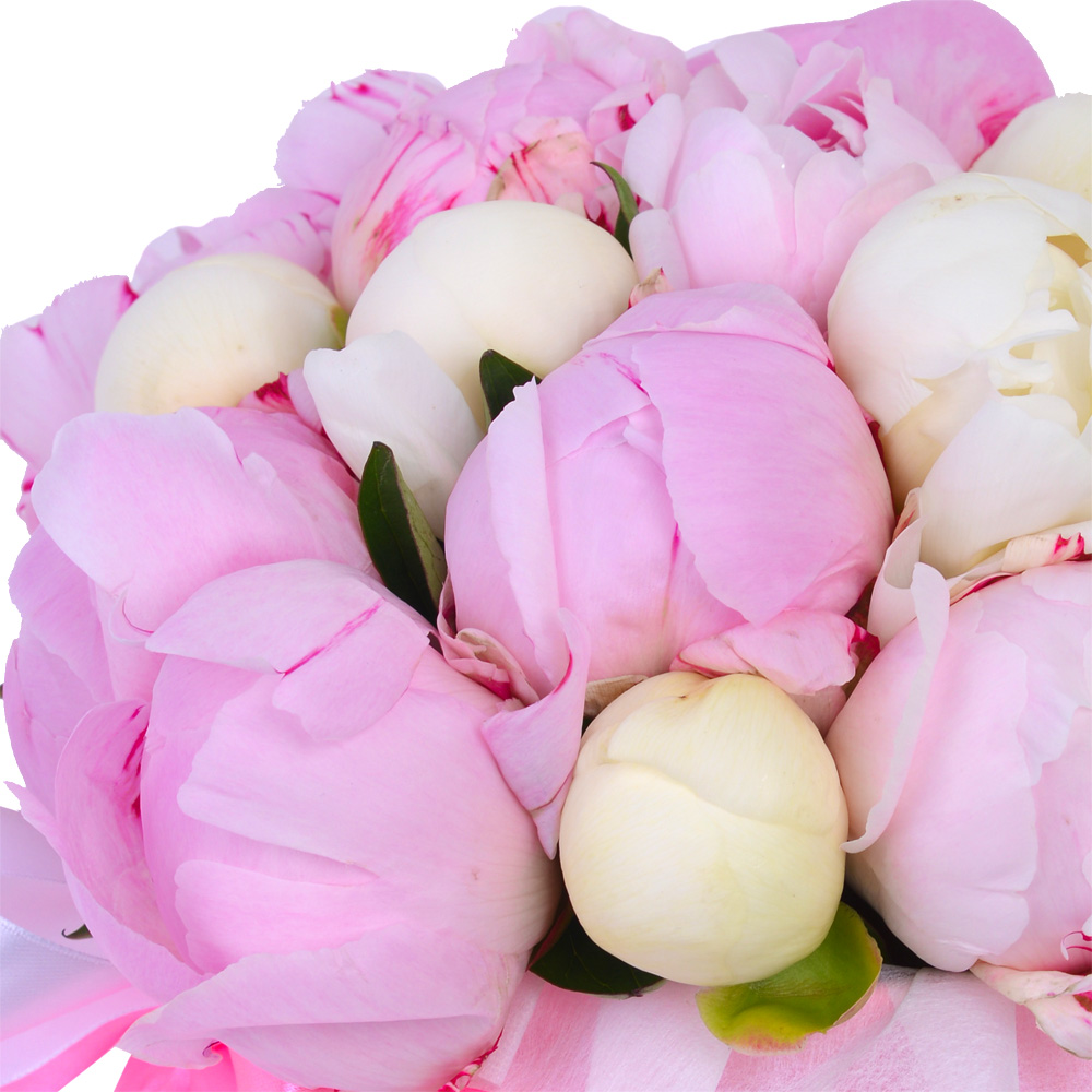 Букет из 19 разноцветных пионов в розовой шляпной коробке