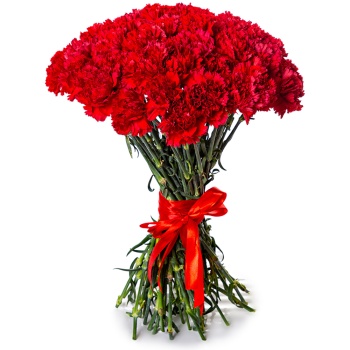 51 красная гвоздика