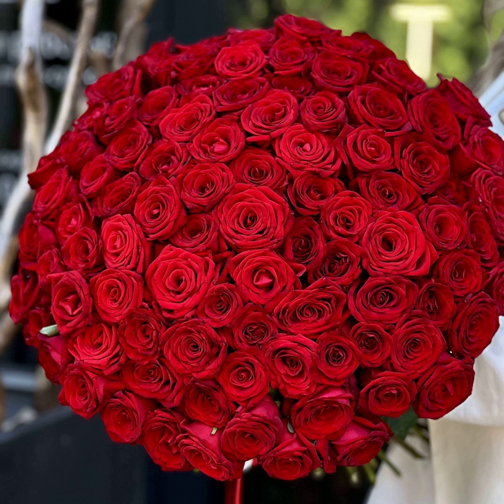 101 красная роза