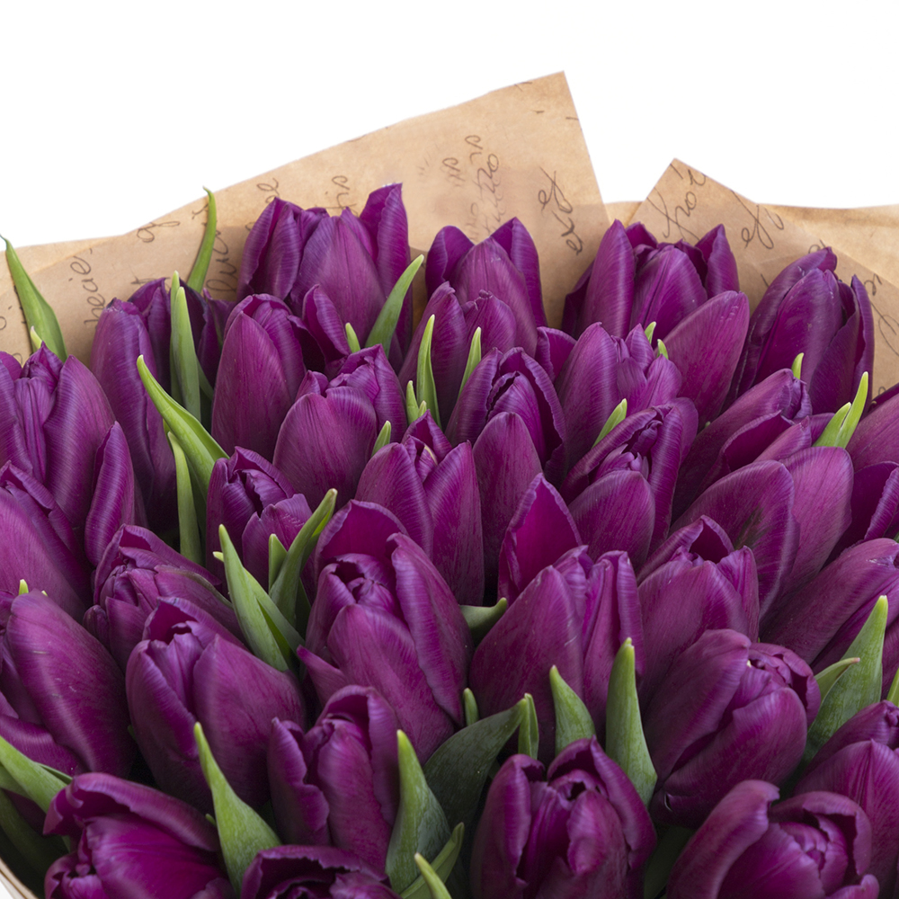 Букет из 35 сиреневых тюльпанов
