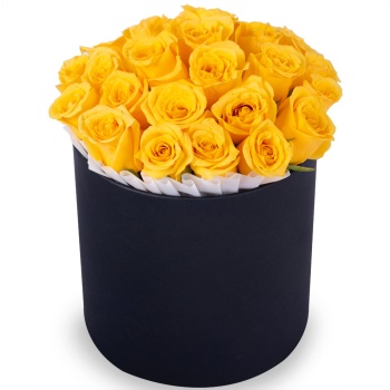 25 желтых роз в черной шляпной коробке