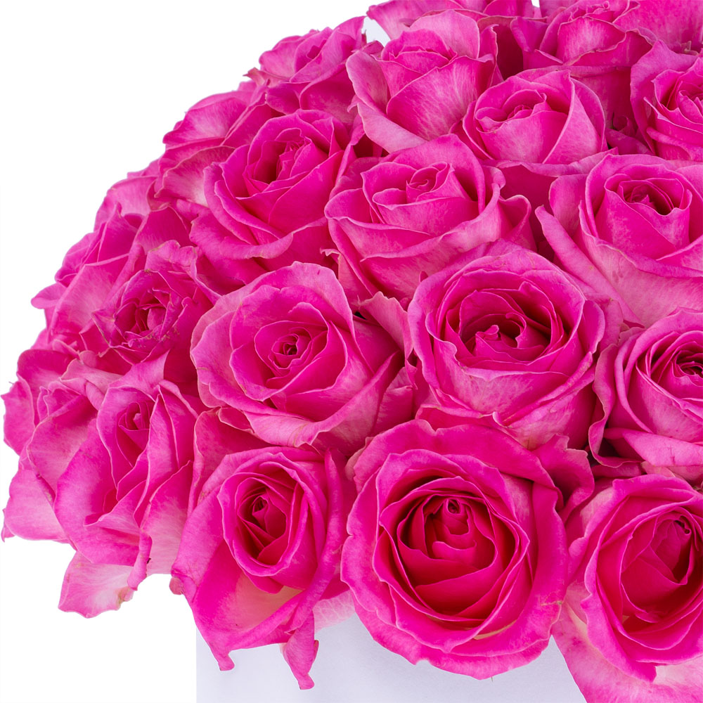 Букет из 51 малиновой розы premium в белой шляпной коробке