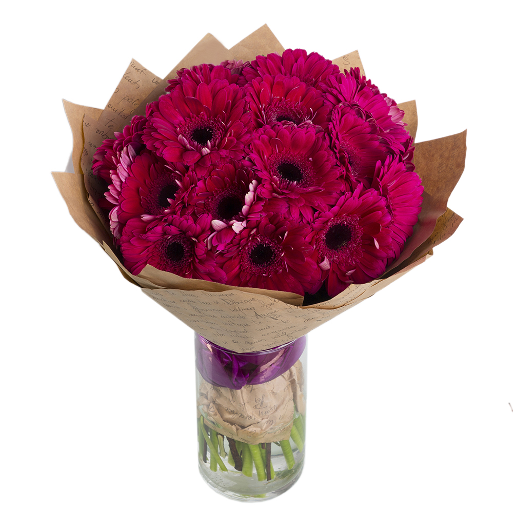 21 малиновая гербера