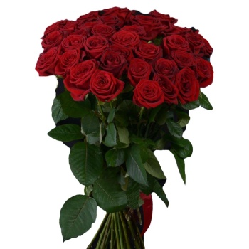 Букет из 35 красных роз Premium 60 см