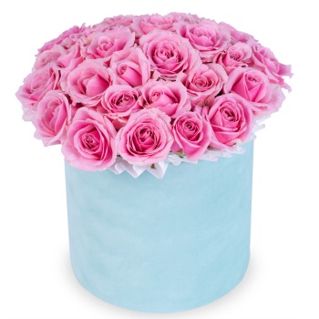 Букет из 25 розовых роз premium в зеленой бархатной шляпной коробке
