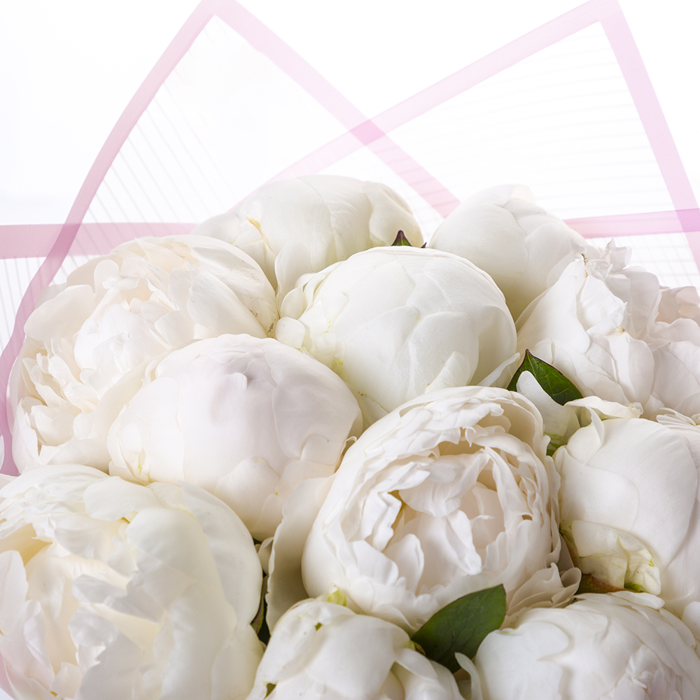 Букет из 11 белых пионов