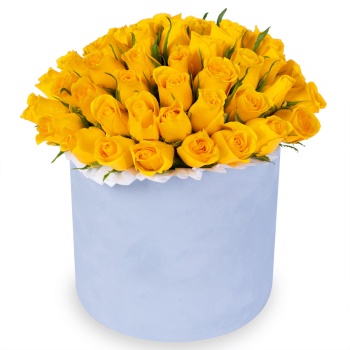 51 желтая роза в серой бархатной шляпной коробке