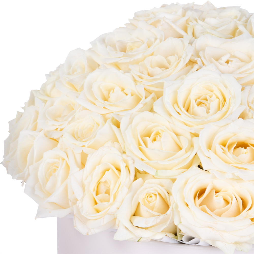 Букет из 51 белой розы premium в кремовой шляпной коробке
