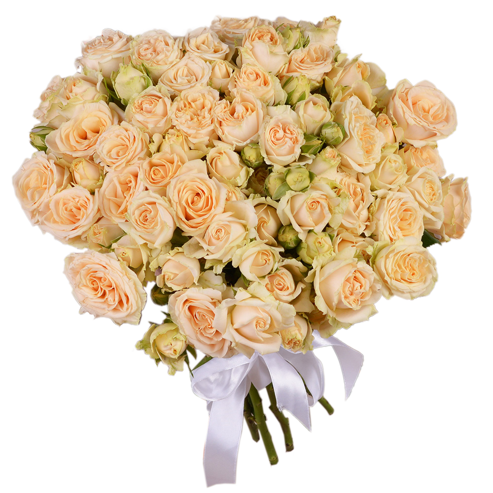 15 кремовых кустовых роз