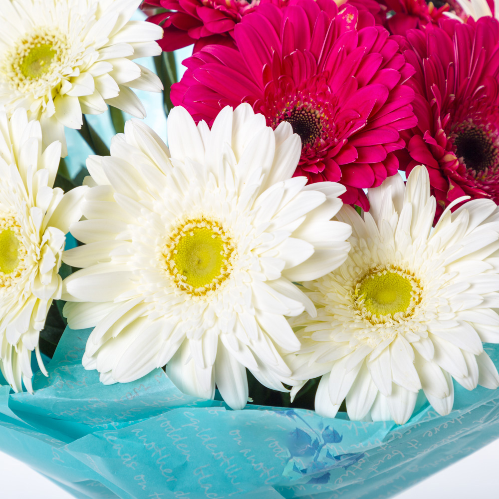 Букет из 19 разноцветных гербер