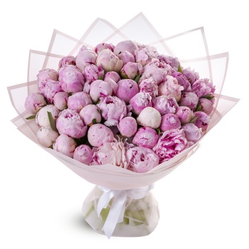 Букет из 51 пиона