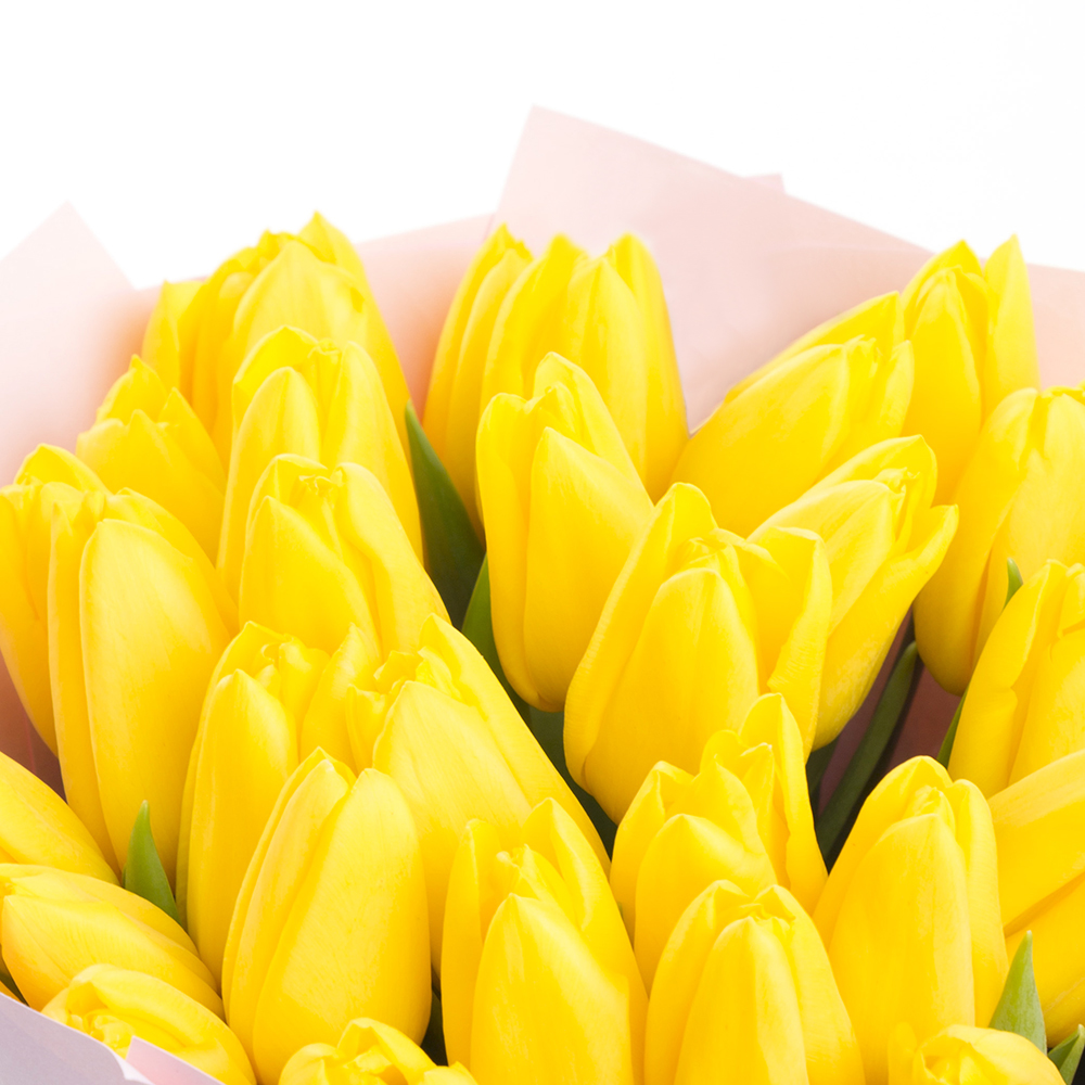 31 желтый тюльпан