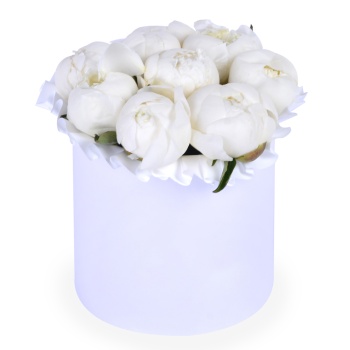 Букет из 9 белых пионов в белой шляпной коробке