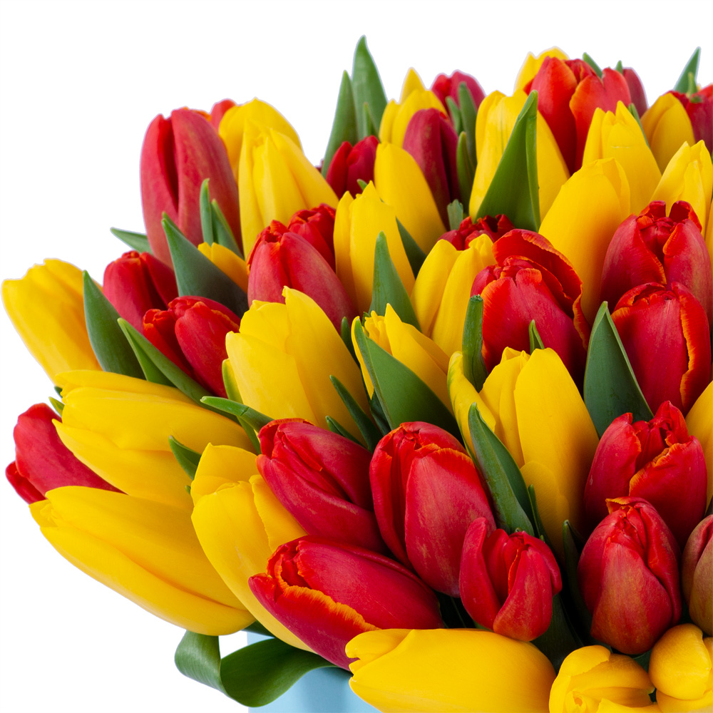 Букет из 101 разноцветного тюльпана в голубой шляпной коробке