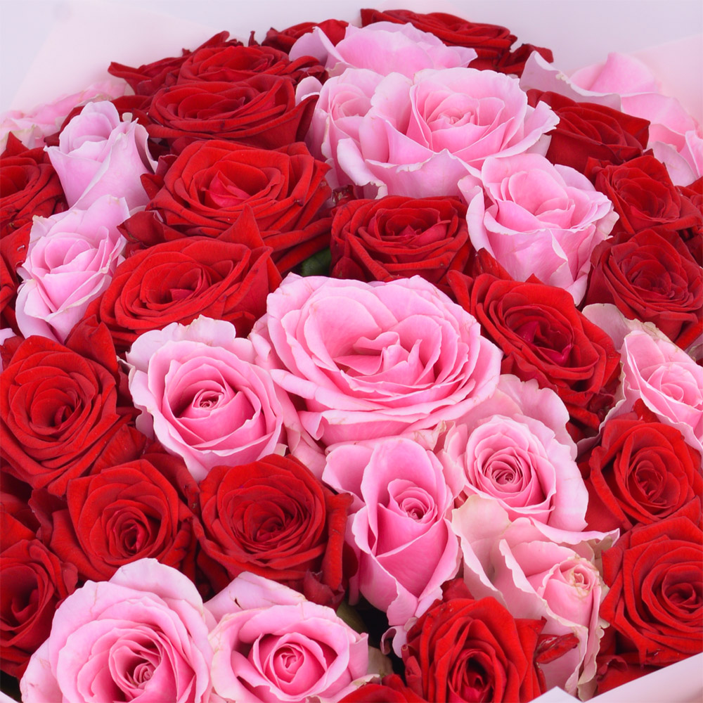 Букет из 51 разноцветной розы premium 40 см