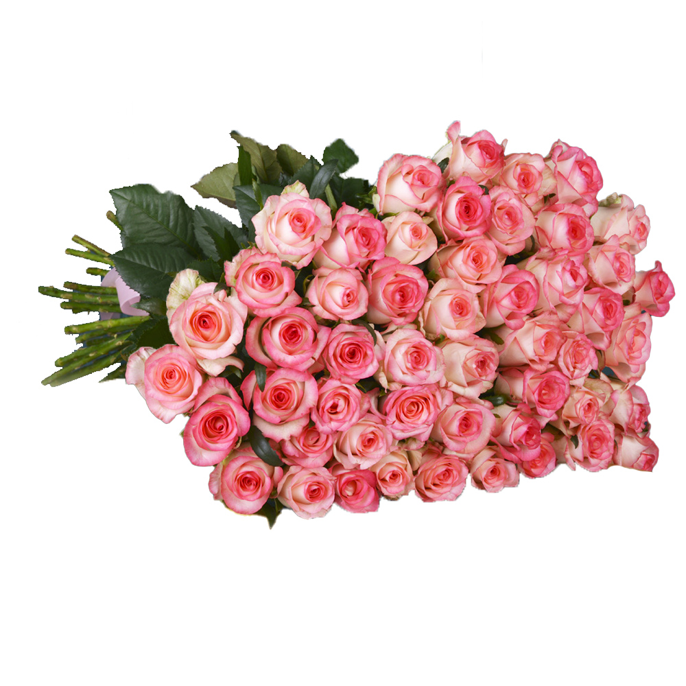 101 малиновая роза premium 60 см