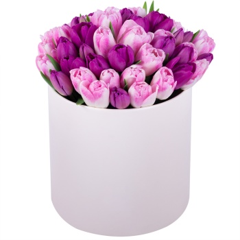 Разноцветный 51 тюльпан в шляпной кремовой коробке