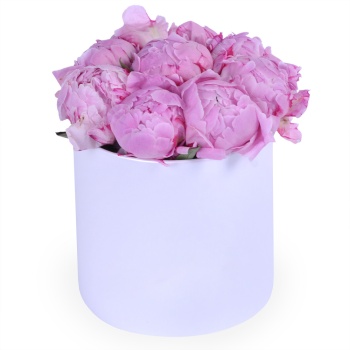 Букет из 9 розовых пионов в белой шляпной коробке