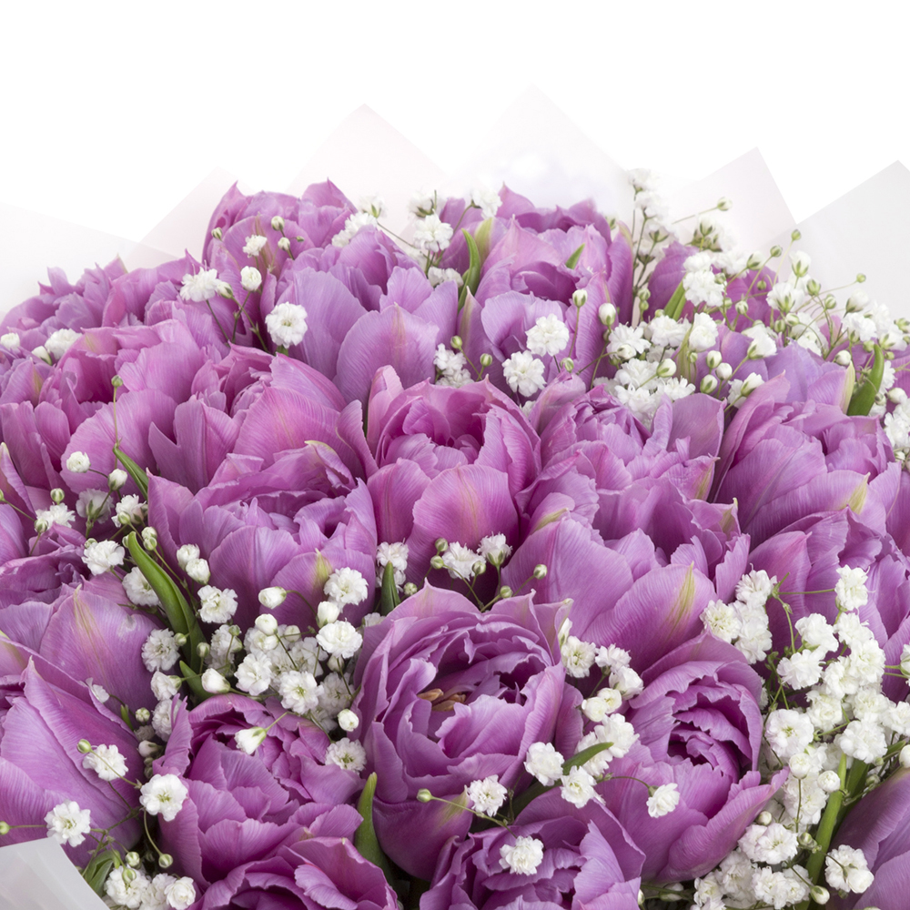 29 фиолетовых тюльпанов с гипсофилой