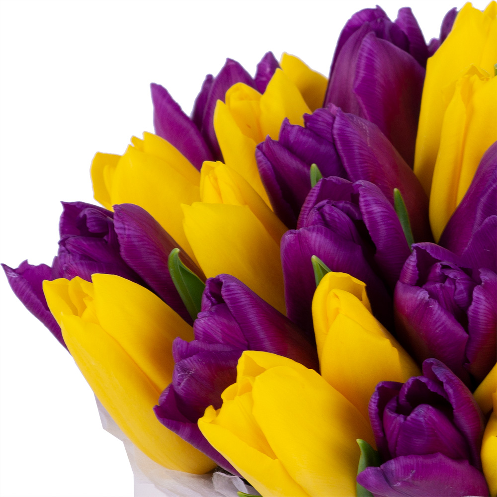 35 разноцветных тюльпан в кремовой шляпной коробке