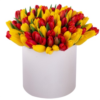 101 разноцветный тюльпан в шляпной кремовой коробке